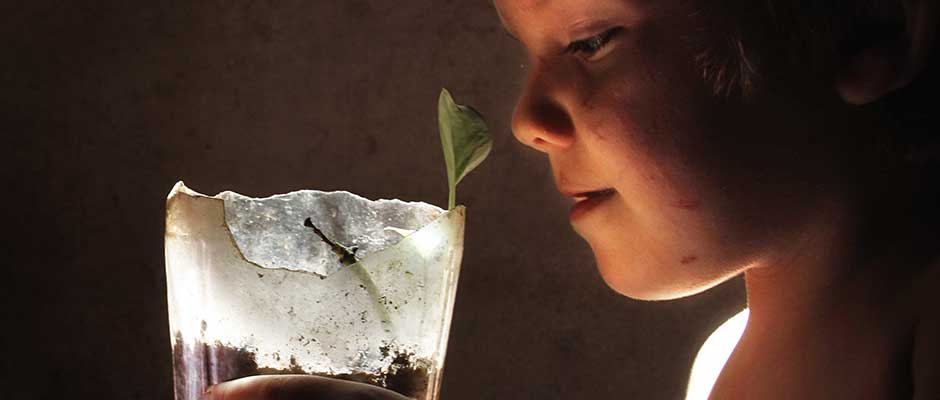 Boy with Plant | Dječak sa biljkom